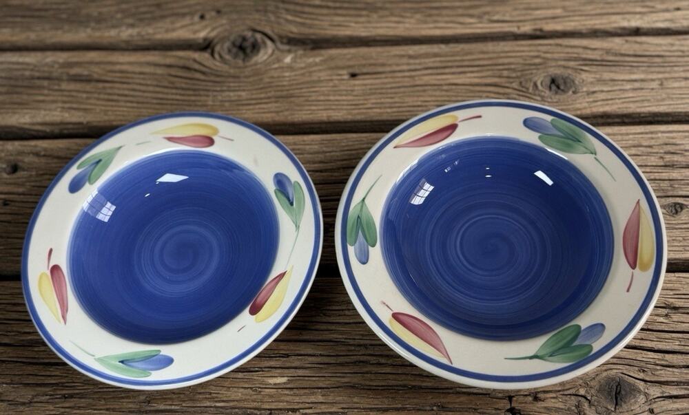 Furio Italy Ceramic Bowls Set of 2 Blue Floral Rim
